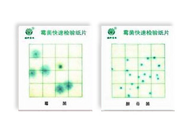 霉菌、酵母菌測(cè)試片